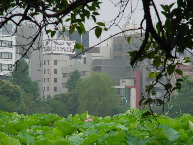 そろそろステップアップ弁証論治