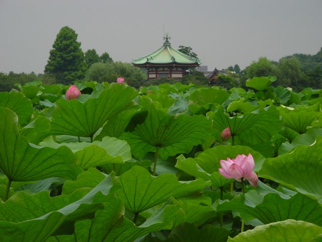 治療指針：生活提言：治療経過