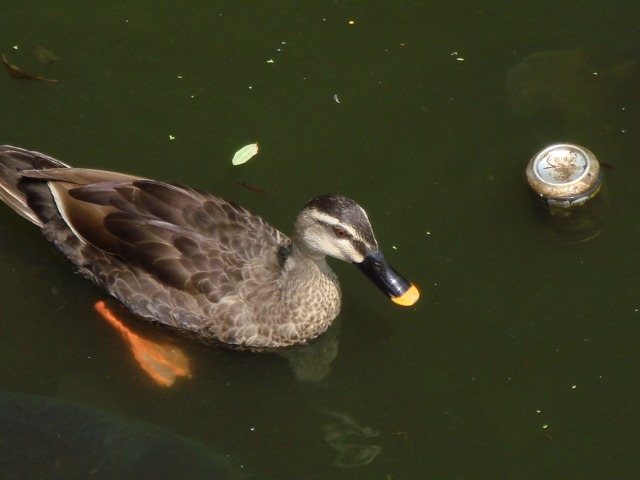 薬の反応が悪くホルモン値があがりにくい弁証論治