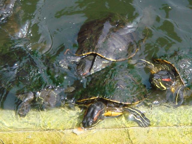 治療指針：生活提言：治療経過